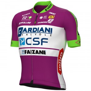 BARDIANI CSF FAIZANE' 2022 Radtrikot kurzarm(langer RV)-ALE Radsport-Profi-Team