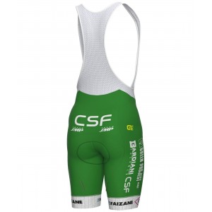 Green Project-Bardiani Csf-Faizane' 2023 Set(Radtrikot langer RV+Trägerhose)-ALE Radsport-Profi-Team