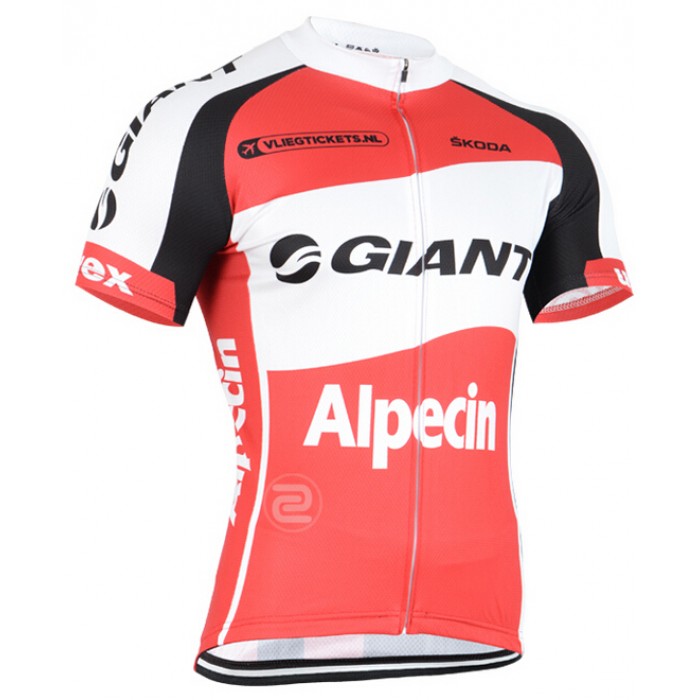 2015 Giant Radtrikot Kurzarm JOEV439