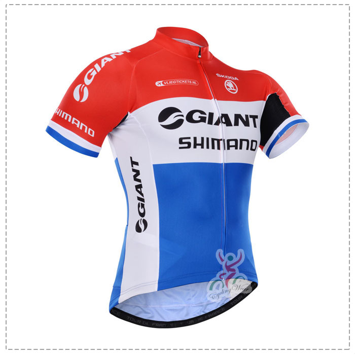 2015 Giant Shimano Radtrikot Kurzarm YSNL215