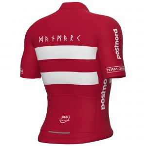 Bekleidung Herren Ale Dänische Nationalmannschaft 2025 trikot