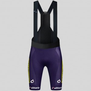 Bekleidung Herren Gobik Wilier Vittoria 2025 Absolute Print K10 tragerhose