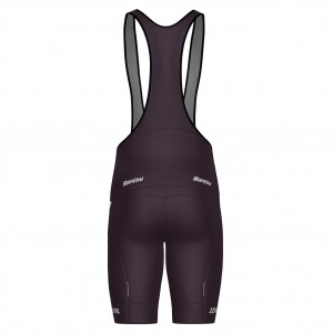 Bekleidung Herren Team Lapierre 2025 Santini tragerhose-Bordeaux