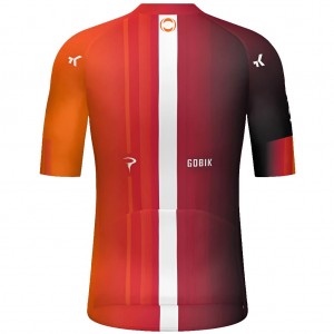 Bekleidung Herren Gobik Ineos Grenadiers 2025 Odyssey trikot
