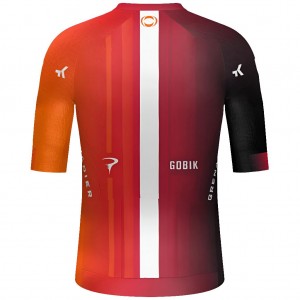 Bekleidung Herren Gobik Ineos Grenadiers 2025 Reactive 2.0 trikot