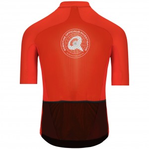 Bekleidung Herren Q36.5 Gregarius Clima Dolomites Extreme trikot-Rot