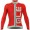 2016 ALE PRR ARCOBALENO Radtrikot Langarm-ROT GREY PHYV253