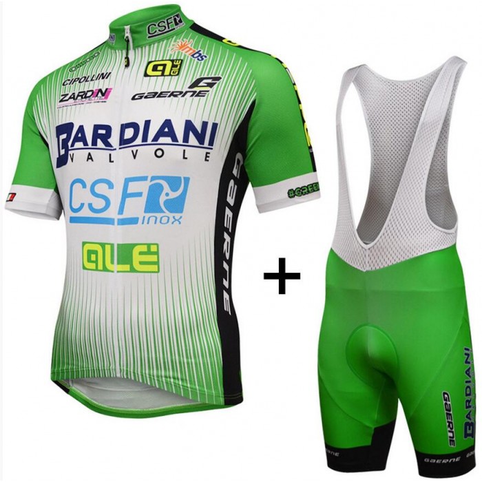 2016 Bardiani Csf Fahrradbekleidung Satz Fahrradtrikot Kurzarm Trikot und Kurz Trägerhose PFRI858