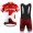 2016 Katusha Fahrradbekleidung Satz Fahrradtrikot Kurzarm Trikot und Kurz Trägerhose 02 TGFD190