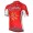 2017 Cofidis Radtrikot Kurzarm 560XQOG