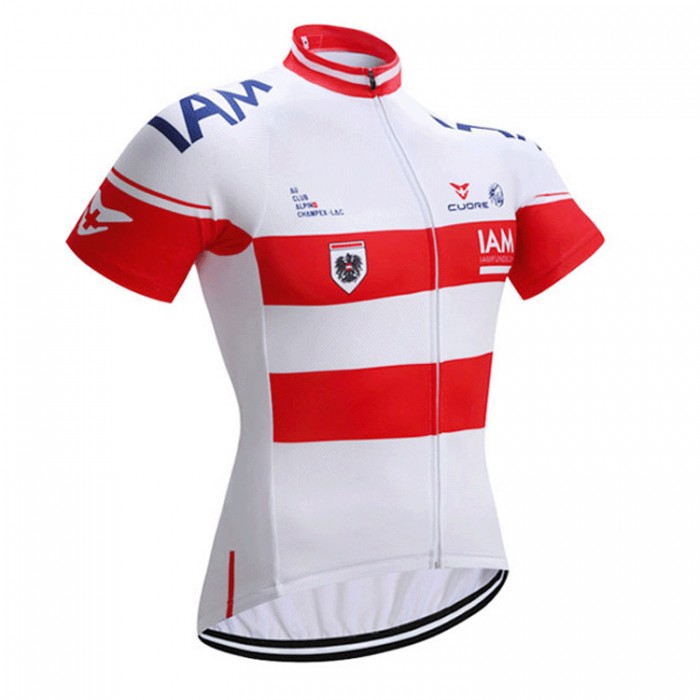 2017 IAM Radtrikot Kurzarm 660WNAT