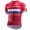 Katusha 2017 Radtrikot Kurzarm 391VGJF